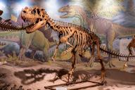 A cast skeleton of a Ceratosaurus. Utah Field House of Natural History State Park Museum. Vernal, Utah