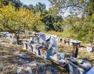Two beekeepers next to bee hives collecting honey with protective suits. La Rioja, Spain, Europe
