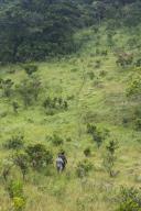 Wilderness Safari guide and local Pygmy guide, Ngaga, Congo (MR)
