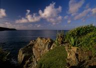 USVI, St. John, Virgin Islands NP, Yawzi Point