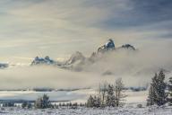 Layers of fog, Evergreen Trees, and Tetons from Antelope Flats Road (Large format sizes available
