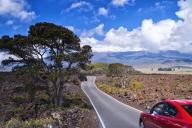 Down Mauna Loa road to exit with Mauna Kea in background; Big Island, Hawaii, United States of