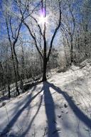 com.newscom.model.mediaobject.impl.MSMediaObject@298d5014[tagId=depphotos264827,docId=34551881HighRes,ftSubject=Sunburst casts the shadow of a tree onto snow,rfrm=<null>]
