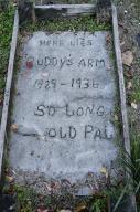 com.newscom.model.mediaobject.impl.MSMediaObject@79aff700[tagId=depphotos264848,docId=34552023HighRes,ftSubject=The grave of Buddy's arm in Juliette, Georgia, USA,rfrm=<null>]