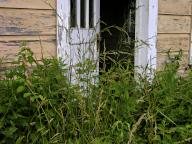 com.newscom.model.mediaobject.impl.MSMediaObject@321bfdc6[tagId=depphotos264859,docId=34552074HighRes,ftSubject=Weeds in a rustic doorway,rfrm=<null>]