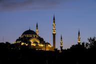 com.newscom.model.mediaobject.impl.MSMediaObject@4a8ec551[tagId=depphotos264900,docId=34552601HighRes,ftSubject=Suleymaniye Mosque in Istanbul, Turkey,rfrm=<null>]