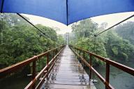 com.newscom.model.mediaobject.impl.MSMediaObject@d37a98c[tagId=depphotos265439,docId=34553429HighRes,ftSubject=Footbridge through rainforest in Costa Rica,rfrm=<null>]