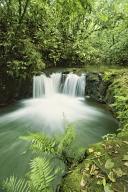 com.newscom.model.mediaobject.impl.MSMediaObject@7befd730[tagId=depphotos265440,docId=34553428HighRes,ftSubject=Rainforest waterfall in Costa Rica,rfrm=<null>]