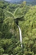 com.newscom.model.mediaobject.impl.MSMediaObject@7e9a7502[tagId=depphotos265441,docId=34553427HighRes,ftSubject=Rainforest with waterfall in Costa Rica,rfrm=<null>]