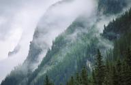 com.newscom.model.mediaobject.impl.MSMediaObject@412e9c97[tagId=depphotos265447,docId=34553413HighRes,ftSubject=Fog blankets spruce trees in Yoho National Park, BC, Canada,rfrm=<null>]