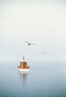 com.newscom.model.mediaobject.impl.MSMediaObject@352306e7[tagId=depphotos265560,docId=34553457HighRes,ftSubject=Seagull soaring over a boat at anchor on a foggy morning,rfrm=<null>]