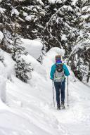 com.newscom.model.mediaobject.impl.MSMediaObject@637ef2f0[tagId=depphotos265942,docId=34561173HighRes,ftSubject=Back View of woman hiking with poles on snowy trail through evergreens, Lake Louise, Alberta, Canada,rfrm=<null>]