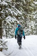 com.newscom.model.mediaobject.impl.MSMediaObject@5b1fde6f[tagId=depphotos265946,docId=34561169HighRes,ftSubject=View from behind of a woman hiking on a snowy trail through evergreens, Lake Louise, Alberta, Canada,rfrm=<null>]