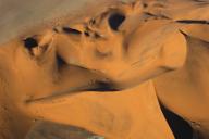 Sternduene in der Namib, Namibia, Sossusvlei | star dune in the Namib Desert, Namibia,
