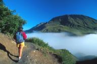 , Bergwanderin in Alpenlandschaft, wandert auf Wanderweg, Frankreich, Ecrins NP | female mountain hiker in alpine scenery, hiking on hiking trail, France, Ecrins