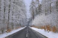 Landstrasse durch einen Winterwald, Deutschland, Bayern, Spessart | country road through winter forest, Germany, Bavaria,