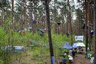 29 April 2024, Brandenburg, Grünheide (Mark): Activists from the "Stop Tesla" initiative have built tree houses in a forest near Fangschleuse, close to the Tesla Gigafactory Berlin-Brandenburg plant. By occupying the wooded area near the company\'s car factory, the activists are protesting against a planned factory expansion. Photo: Soeren Stache\/dpa