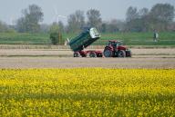 02 May 2024, Schleswig-Holstein, St. Peter-Ording: A tractor standing in a field Photo: Marcus Brandt\/dpa