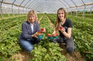 06 May 2024, Schleswig-Holstein, Nehms: Ute Volquardsen (l), President of the Schleswig-Holstein Chamber of Agriculture, and Lena Goldnick, Farm Manager at Hornbrooker Hof GmbH & Co. KG, hold baskets of the first harvested Flair strawberries at a press event to mark the opening of the strawberry season. Photo: Georg Wendt\/dpa
