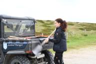 09 May 2024, Schleswig-Holstein, List: Ranger Stella Kinne places a shovel in her ranger mobile in the Lister Ellenbogen nature reserve (Sylt). The 26-year-old is responsible for protecting the animals here in the nature reserve. Photo: Lea Sarah Albert