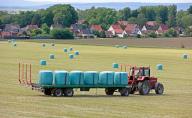 16 May 2024, Lower Saxony, Jerxheim: Hay bales are transported from a meadow on a tractor trailer. After a warm spring, the first meadows could be mowed. Photo: Matthias Bein/dpa