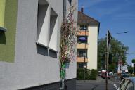 12 May 2024, North Rhine-Westphalia, Cologne: Maypole, a tree or tree trunk decorated with colorful ribbons, in front of a house Photo: Horst Galuschka/dpa