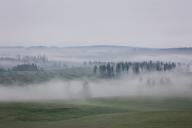 20 May 2024, Saxony-Anhalt, Elbingerode: Fog lies over the Harz Mountains near Königshütte in the early morning. The weather remains mixed in Saxony-Anhalt. Photo: Matthias Bein/dpa
