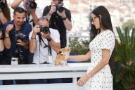 Demi Moore and Pilaf the dog pose at the photo call of 