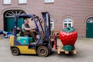 PRODUCTION - 16 May 2024, Lower Saxony, Wardenburg: Farmer Heiko Stolle uses a forklift to transport several oversized strawberries around the Stolle farm. The Network of Asparagus and Berry Associations has proclaimed May 24 "German Strawberry Day" for the first time. There are campaigns in stores, posters and social media activities all about strawberries. Photo: Hauke-Christian Dittrich/dpa