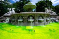 23 May 2024, Bavaria, Munich: Green-colored water can be seen in the Wittelsbach fountain in the city center. Environmental activists have dyed the water in several Munich fountains bright green. With this action, activists from the group "Extinction Rebellion" want to draw attention to insect mortality and protest against the Bavarian state government