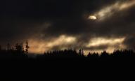 23 May 2024, Bavaria, Aitrang: Behind rain clouds and rising mist, the sun sets behind a forest. Photo: Karl-Josef Hildenbrand/dpa