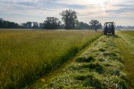 24 May 2024, Saxony-Anhalt, Schönebeck: Farmer Andreas Pfanne mows his meadow in the morning. Members of "Wildtierretter Sachsen-Anhalt" had previously flown over the meadow with "Flying Wildlife Rescue Drones" from "Thermal Drohnes" to search for hidden fawns. The aim is to protect the young animals from being killed or injured by the mowing machine. The thermal imaging drones are a drone system that uses artificial intelligence to help track down wild animals. Photo: Klaus-Dietmar Gabbert/dpa