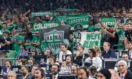 26 May 2024, Berlin: Basketball: Euroleague, Real Madrid - Panathinaikos Athens, Final round, Final Four, Final, Uber Arena. Fans of Panathinaikos Athens cheer on their team with flags. Photo: Andreas Gora/dpa