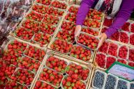30 May 2024, Lower Saxony, Oldenburg: A saleswoman holds a bowl of strawberries in her hands at a fruit and vegetable stall at the weekly market. Photo: Hauke-Christian Dittrich/dpa