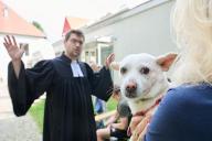 01 June 2024, Berlin: Mongrel dog "Meimei" sits on his owner