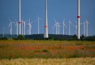 31 May 2024, Brandenburg, Sieversdorf: A wind farm with many wind turbines in the east of Brandenburg. Photo: Patrick Pleul\/dpa