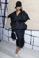 Rihanna attends CHRISTIAN DIOR Haute Couture Spring/Summer 2024 Runway during Paris Haute Couture Fashion Week on January 2024 - Paris; France 22/01/2024