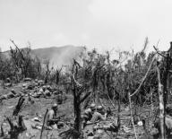 U.S. Troops dug in on Hill 604, Villa Verde Trail, fire on Japanese positions over the next ridge. April 1, 1945. Manila, Luzon Island, Philippines, World War 2. (BSLOC_2014_10_113)
