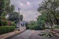 SÃO PAULO, SP - 22.12.2023: TEMPESTADE DERRUBA ÃRVORES EM SP - Rain with strong winds knocked down trees and blocked streets in the Jardins neighborhood in the south of SÃ£o Paulo this Friday (22). (Photo: Cesar Conventi/Fotoarena