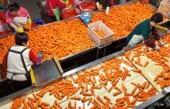 Workers sort carrots fresh from the harvest in a co-operative in Laixi city in east China