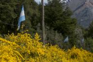 Bariloche 01\/12\/22 Banderas argentinas al costado de la ruta 40 en Mascardi. La ocupacion mapuche que mantenia la comunidad Lafken Winkul Mapu fue desalojada hace 2 meses