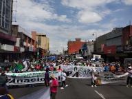 Productores y trabajadores marchan este miÃ©rcoles 15 de mayo en reclamo por la pÃ©rdida de empleos y aumento de costos por la apreciaciÃ³n delÂ tipoÂ de