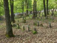 Old Jewish cemetery on the Judenhügel near Kleinbardorf, municipality of Sulzfeld, Haßberge, Rhön-Grabfeld, Lower Franconia, Bavaria, Germany