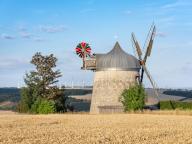 Windmill stands in the middle of a ripe grain field under a partly cloudy blue sky, mill, tower windmill, Tultewitz, Saxony-Anhalt, Germany