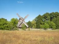 Mill, windmill, trestle windmill, Bad Düben, Saxony, Germany