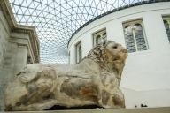 British museum, Lion of Cnidus, sculpture from Ancient Greece, Great Atrium of Elizabeth II, London, England, Great