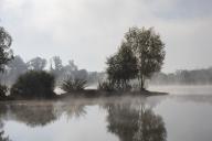 Kressler fishing pond in the morning mist, Arnstadt, Thuringia, Germany