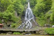 The Trusetal Waterfall is the highest waterfall in the Thuringian Forest. It is located in the town of Brotterode-Trusetal and is not a natural phenomenon, but a man-made attraction, ., Trusetal, Thuringia, Germany