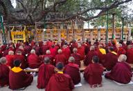 Tibetan monks, reading a buddhist text, Bodhi tree, pilgrimage site, Bodhgaya, India