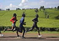Athletes, training, running on the road, Tea plantation, Kenya